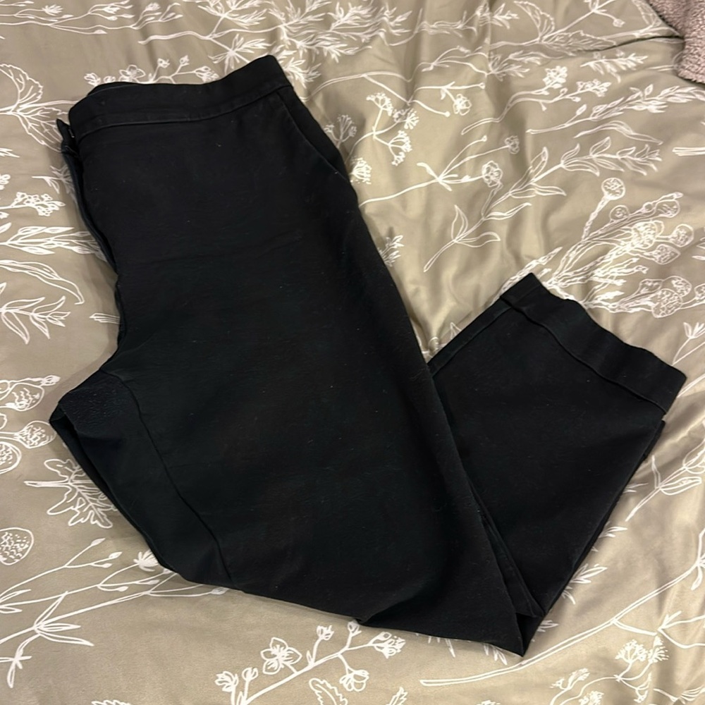 Ann Taylor dress pants